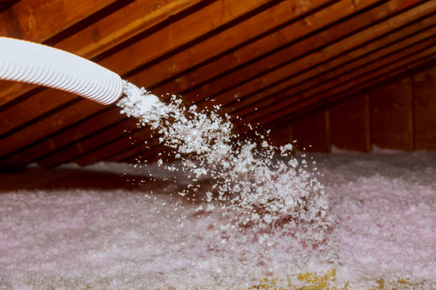 Best Garage Insulation Installation  in Bigfork, MT