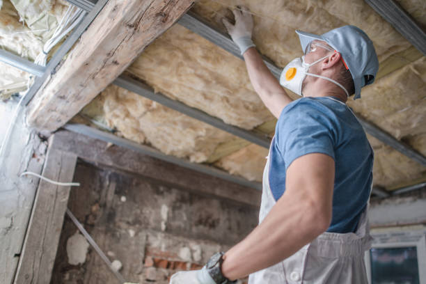 Best Insulation Replacement Services  in Bigfork, MT