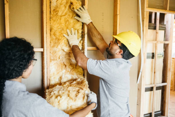 Best Insulation Contractor Near Me  in Bigfork, MT