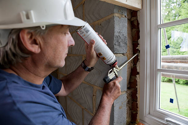 Best Cellulose Insulation  in Bigfork, MT
