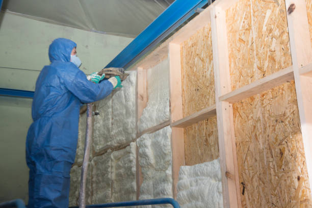 Best Attic Insulation Installation  in Bigfork, MT