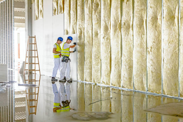 Best Insulation Contractors for Homes  in Bigfork, MT